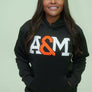 FAMU sweatsuit (Black)