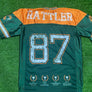 FAMU Champions Jersey